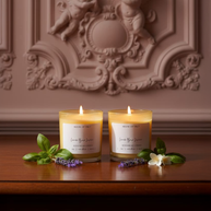 Lavender Basil Jasmine