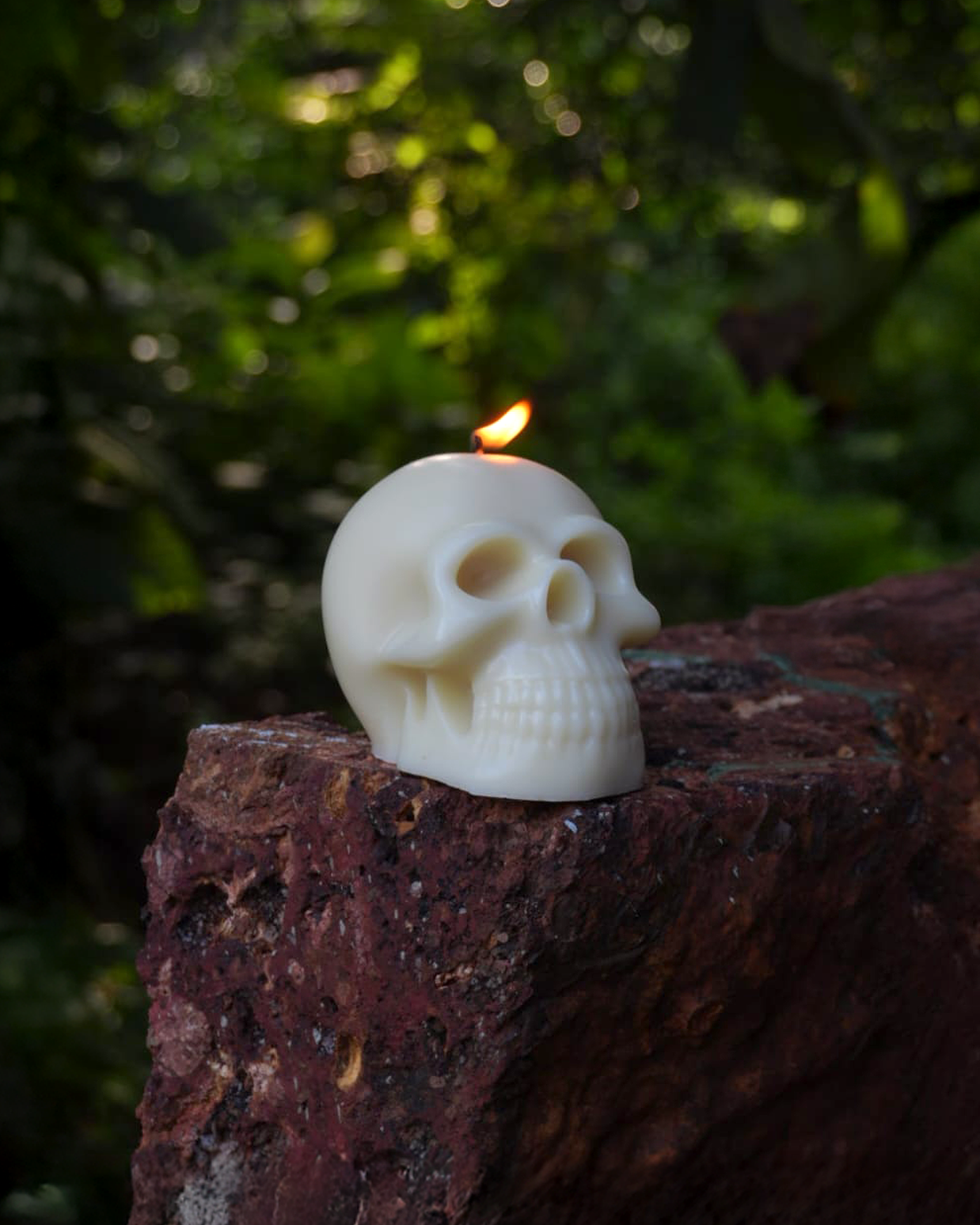 Skull Sculpture
