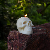 Skull Sculpture